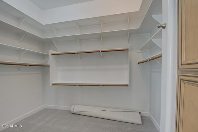 walk in closet with carpet floors