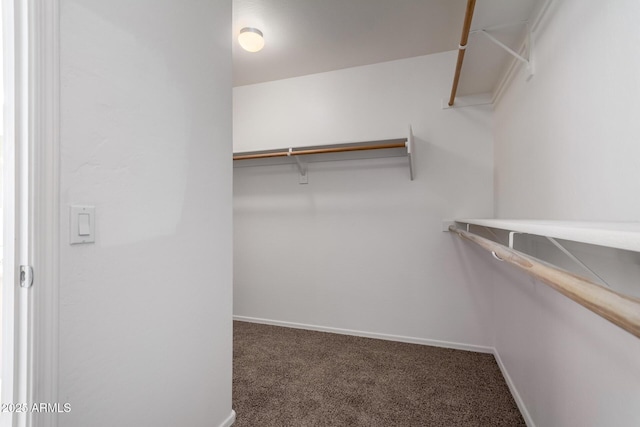 walk in closet with carpet floors