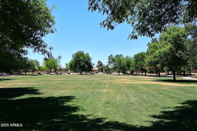 view of property's community with a yard