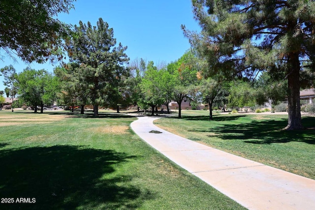view of property's community featuring a yard