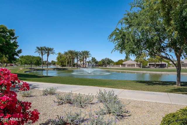 view of community with a water view and a yard