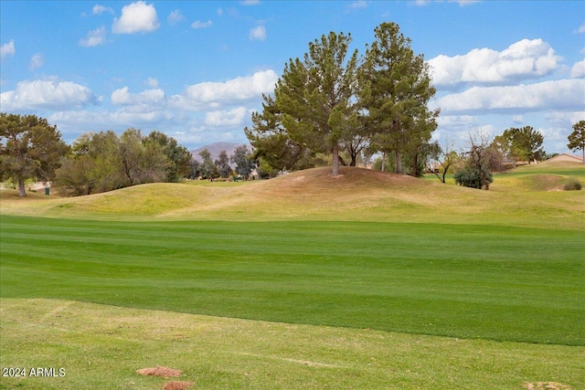 view of home's community with a lawn