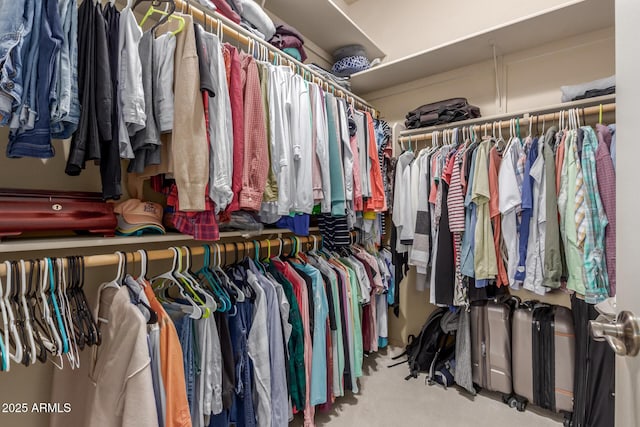 spacious closet with carpet