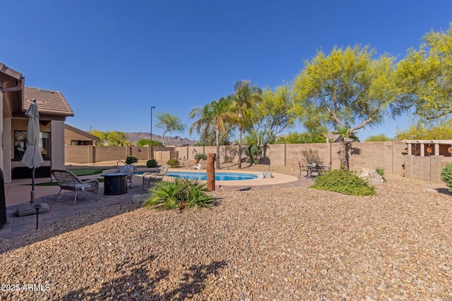 view of yard featuring a fenced in pool, a patio, and a fenced backyard