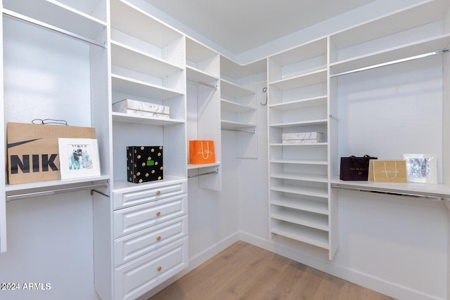 spacious closet with light wood-type flooring