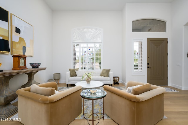 living room with light hardwood / wood-style flooring