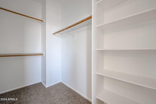 spacious closet with carpet