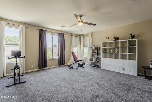 3062 E Cullumber St, Gilbert, AZ 85234 - exercise room featuring a ceiling fan and carpet