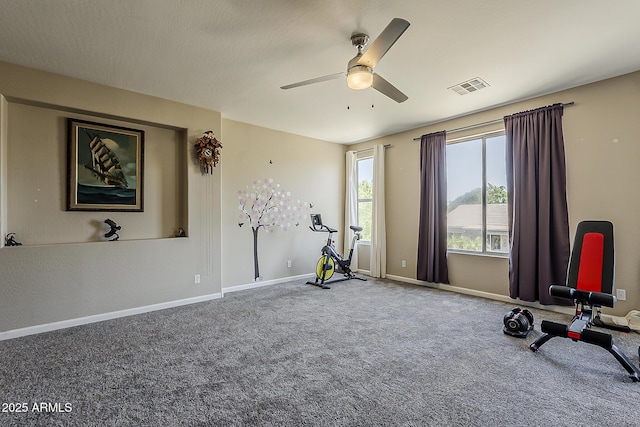 3062 E Cullumber St, Gilbert, AZ 85234 - exercise area with ceiling fan and carpet