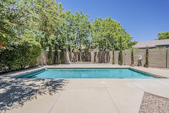 3062 E Cullumber St, Gilbert, AZ 85234 - view of pool featuring a fenced backyard and a patio