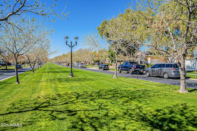 3062 E Cullumber St, Gilbert, AZ 85234 - view of green lawn