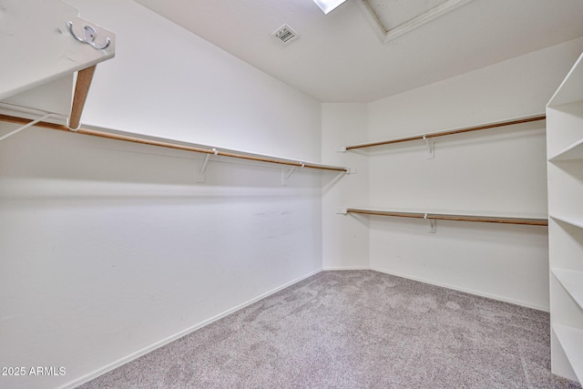 spacious closet with carpet floors
