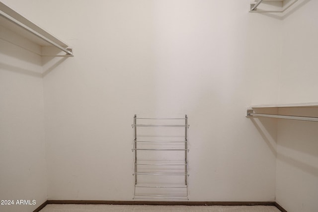 spacious closet featuring light carpet