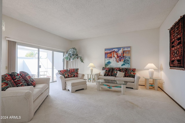 carpeted living room with a textured ceiling