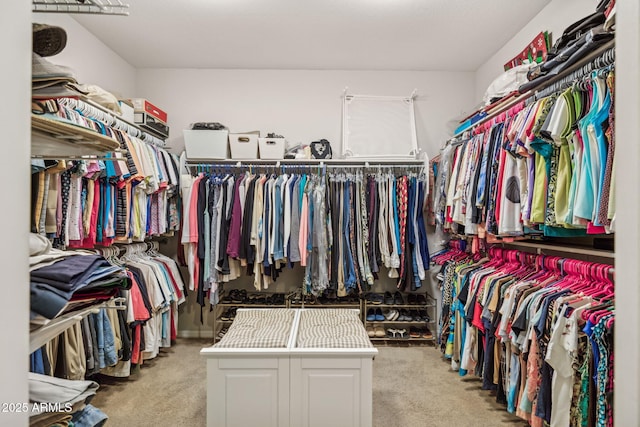 33305 N 26th Ave, Phoenix, AZ 85085 - walk in closet featuring carpet floors