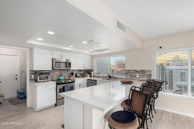 kitchen with stainless steel appliances, a raised ceiling, and kitchen peninsula