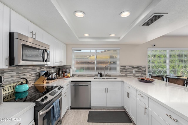 kitchen featuring white cabinetry, appliances with stainless steel finishes, a tray ceiling, and sink