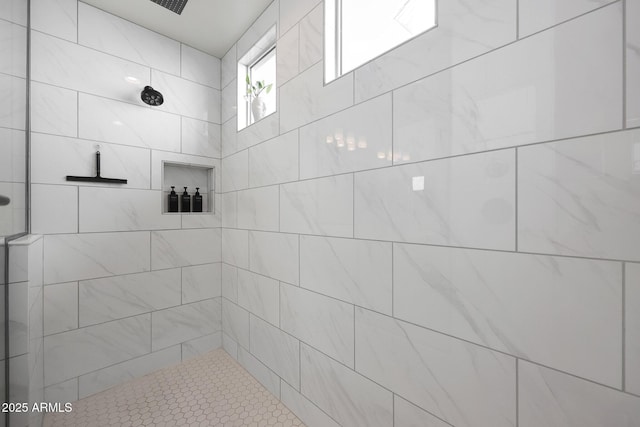 20510 W White Rock Rd, Buckeye, AZ 85396 - bathroom featuring tiled shower