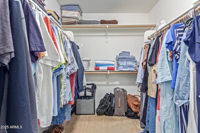 view of spacious closet