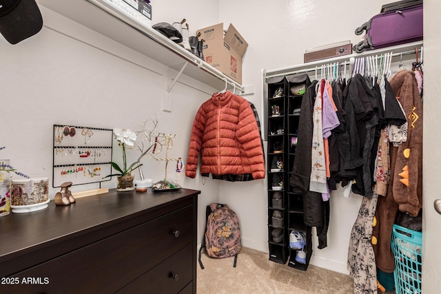 spacious closet with carpet