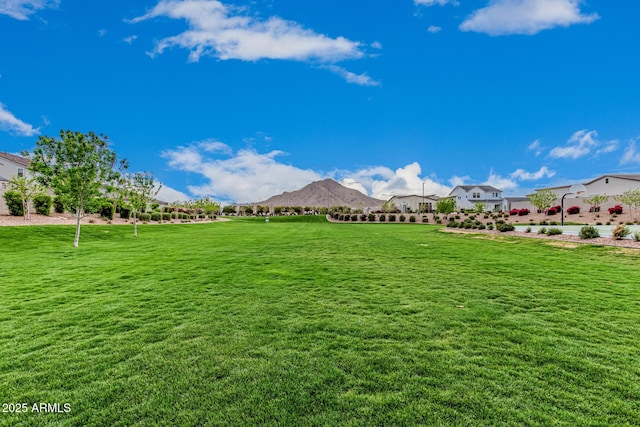 view of yard featuring a mountain view