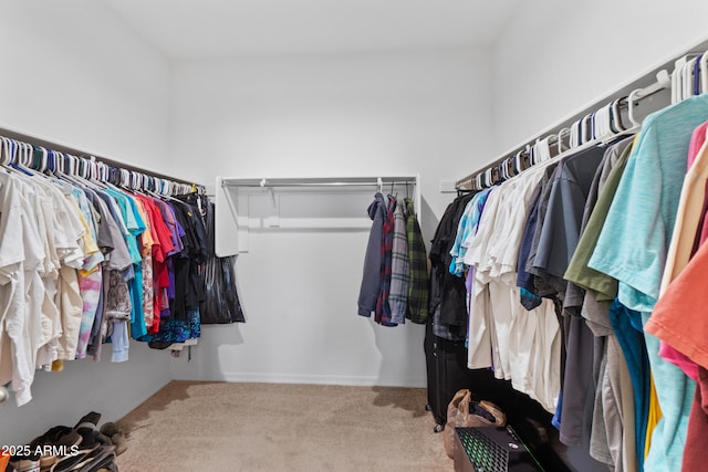 walk in closet with carpet floors