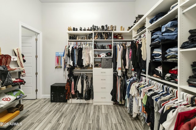 spacious closet featuring light wood-style flooring