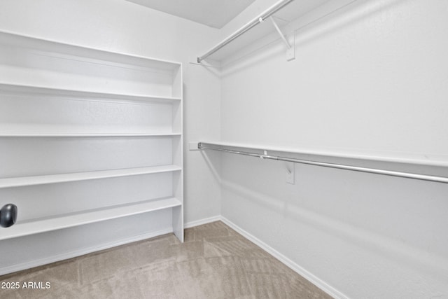 walk in closet with light colored carpet