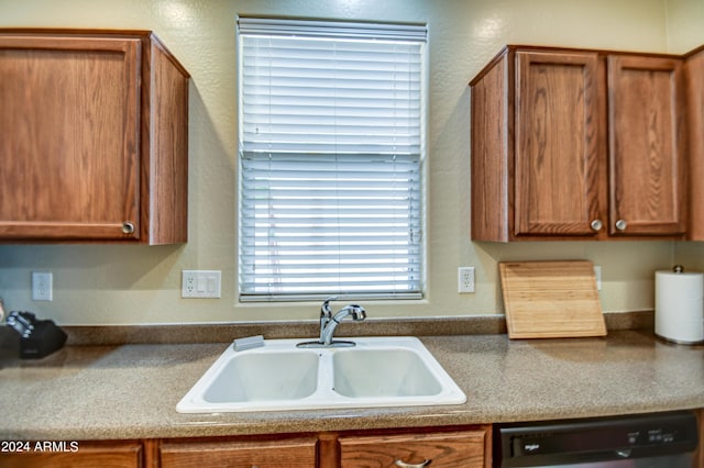 kitchen with sink and dishwasher