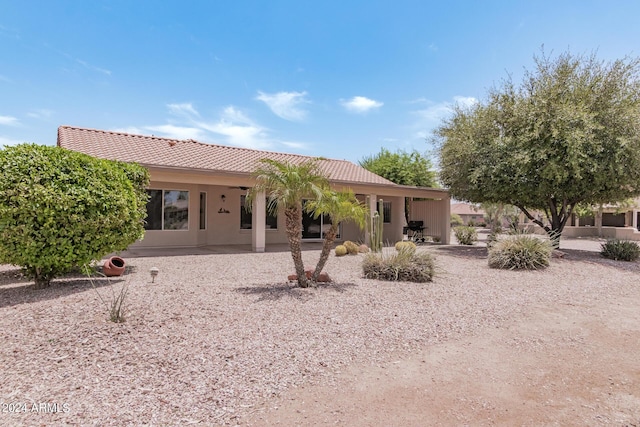 3582 N 160th Ave, Goodyear, AZ 85395 - back of property with a tile roof, a patio, and stucco siding
