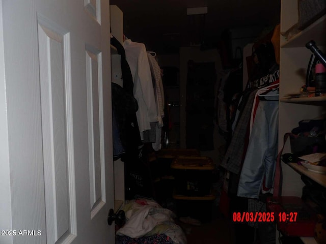 view of spacious closet