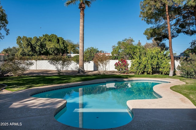 view of swimming pool with a yard