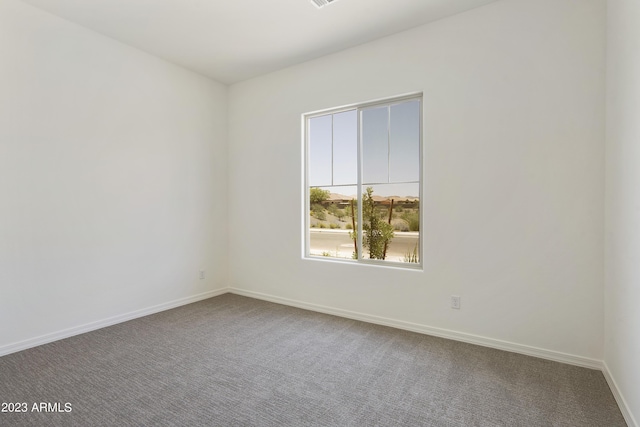 unfurnished room with carpet