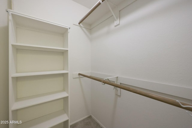 spacious closet featuring carpet