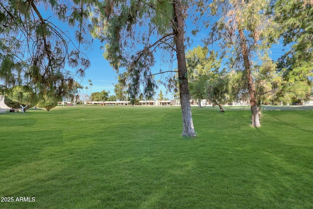 view of home's community featuring a lawn