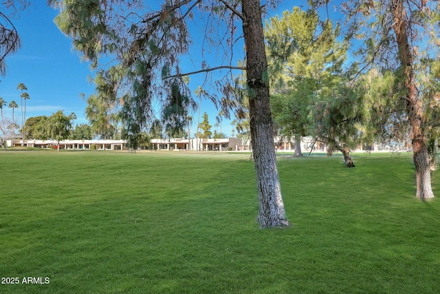 view of community with a lawn