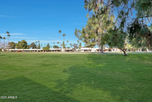 view of property's community featuring a lawn