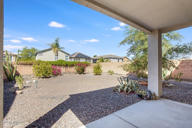 view of yard featuring a patio