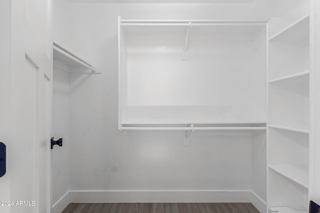 spacious closet featuring dark hardwood / wood-style floors