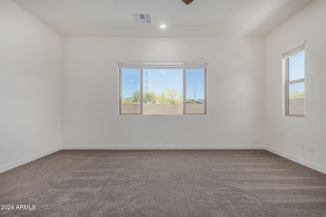 empty room featuring carpet flooring and a wealth of natural light