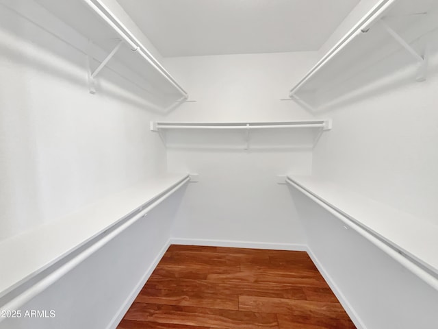 spacious closet with hardwood / wood-style flooring