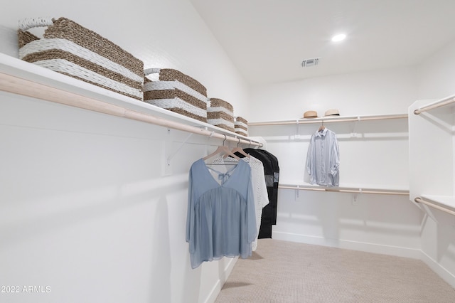 spacious closet featuring light colored carpet