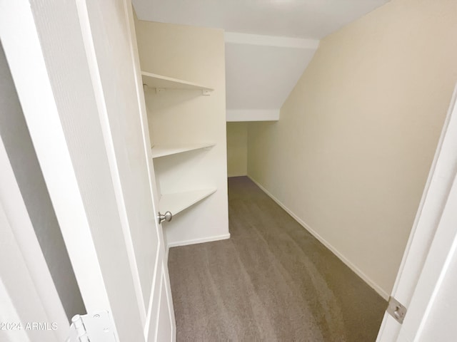 walk in closet featuring dark carpet and vaulted ceiling