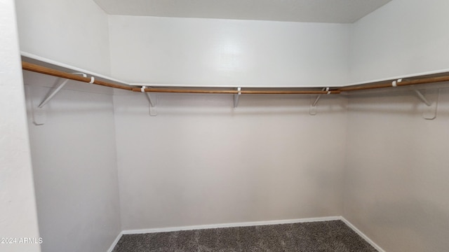 walk in closet featuring carpet