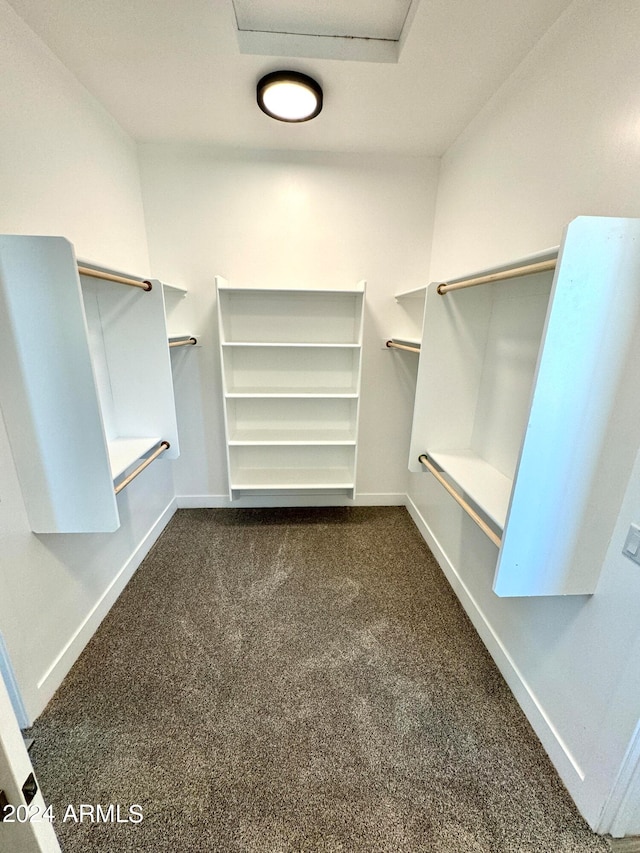 walk in closet with dark carpet