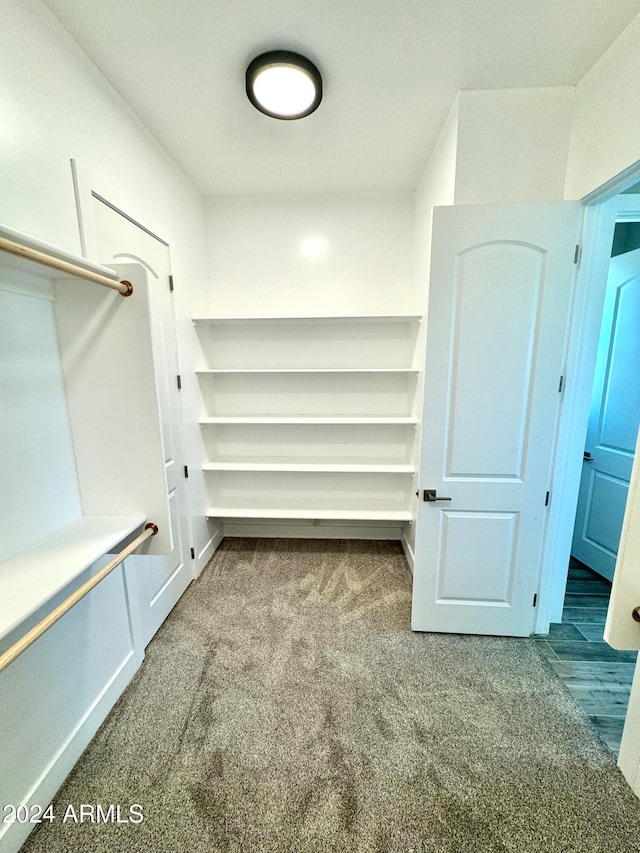 spacious closet featuring carpet floors