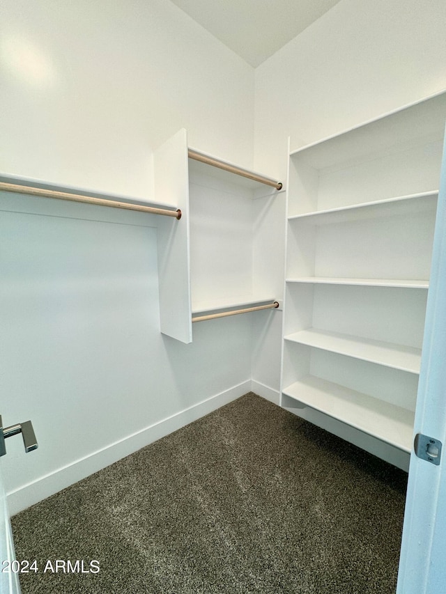 spacious closet with carpet floors