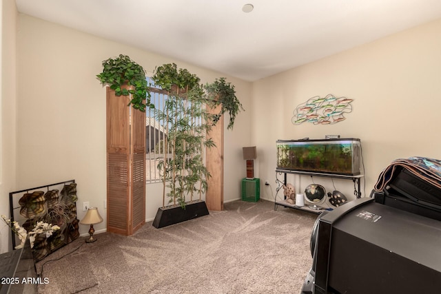 15874 W Wildflower Dr, Surprise, AZ 85374 - office area with carpet floors and baseboards