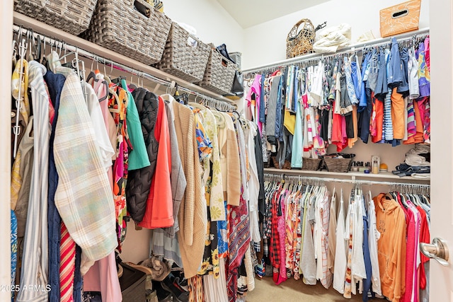 walk in closet with carpet flooring