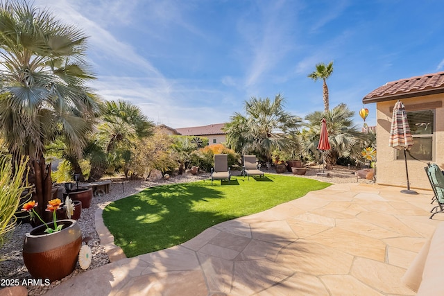 view of yard featuring a patio